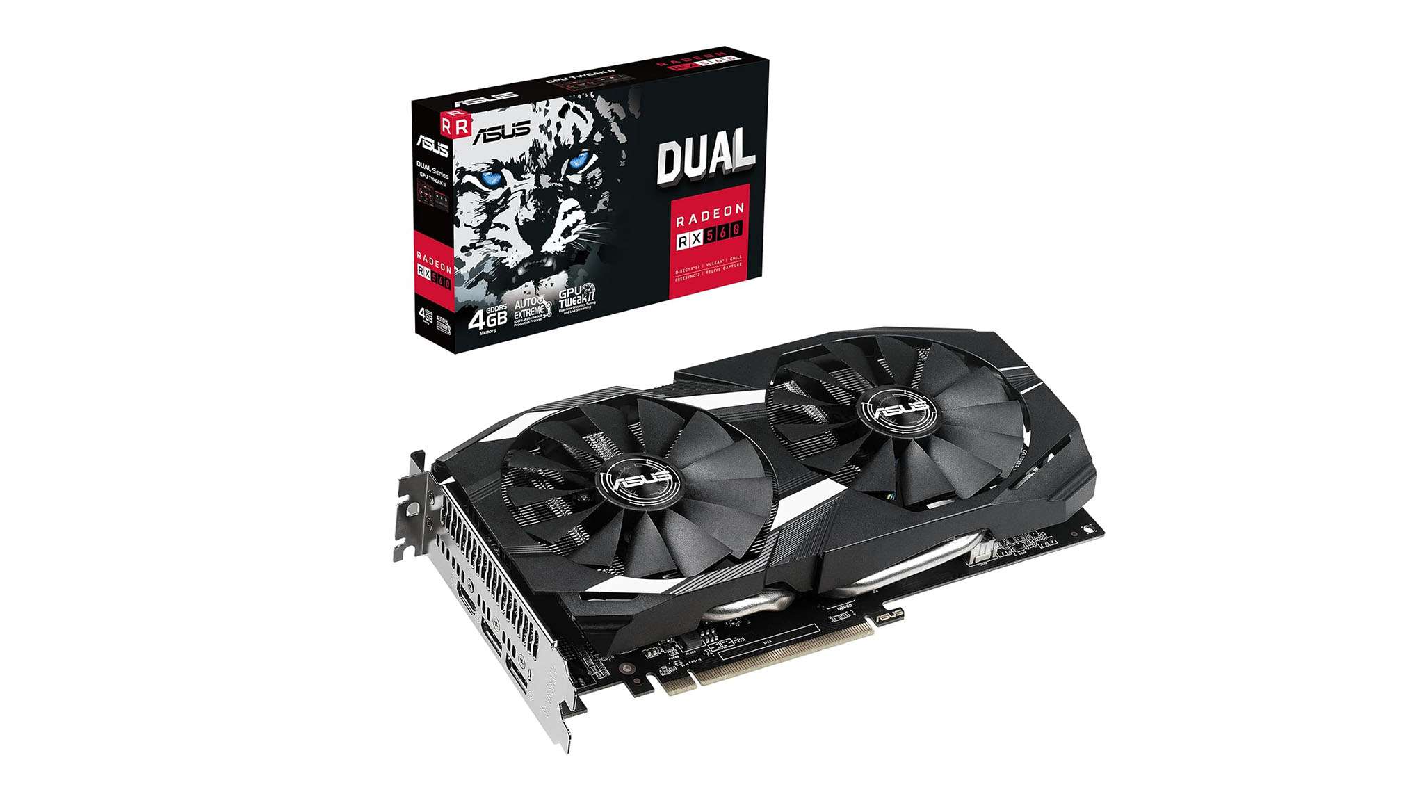 預賽中的精 預賽中的精