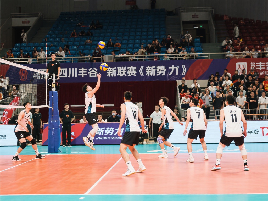 动的激情与 动的激情与